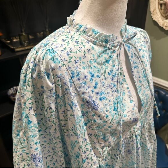 Zara Bloggers Favorite Blue Floral Poplin Dress Size Small - Picture 8 of 13